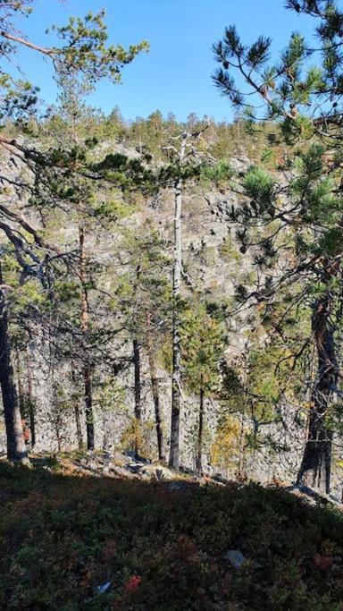 Alpehytte Esteri Pyhätunturi